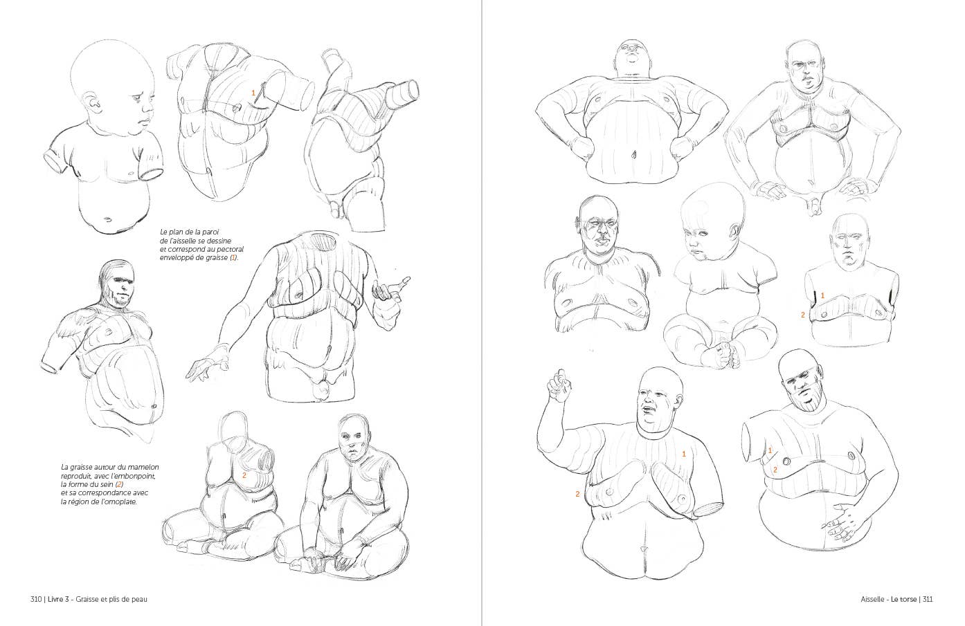 Rocky Nook - Morpho: Anthology of Artistic Anatomy