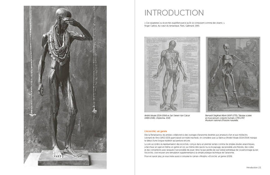 Rocky Nook - Morpho: Anthology of Artistic Anatomy