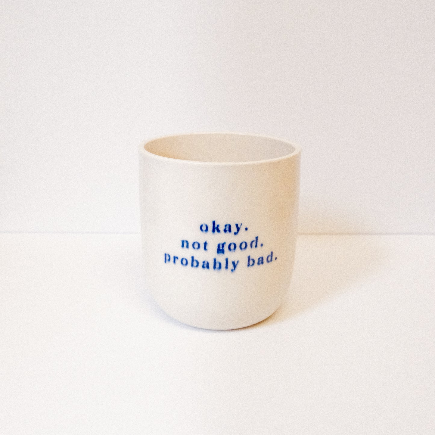 SECONDS Heated Rivalry Probably Bad Short Cup: Blurred Text