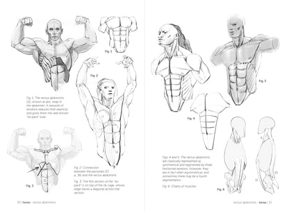 Rocky Nook - Morpho: Muscled Bodies