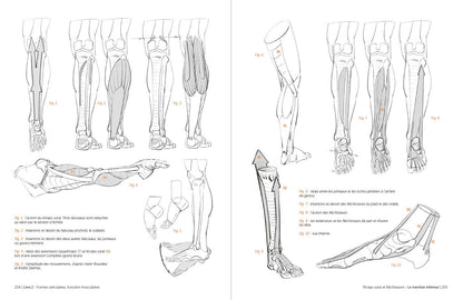 Rocky Nook - Morpho: Anthology of Artistic Anatomy