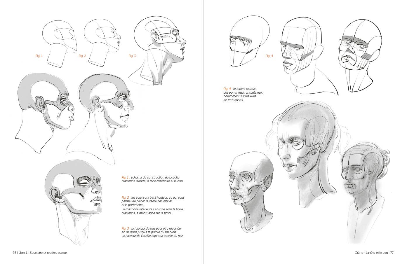 Rocky Nook - Morpho: Anthology of Artistic Anatomy