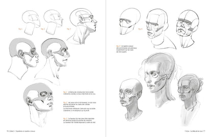 Rocky Nook - Morpho: Anthology of Artistic Anatomy