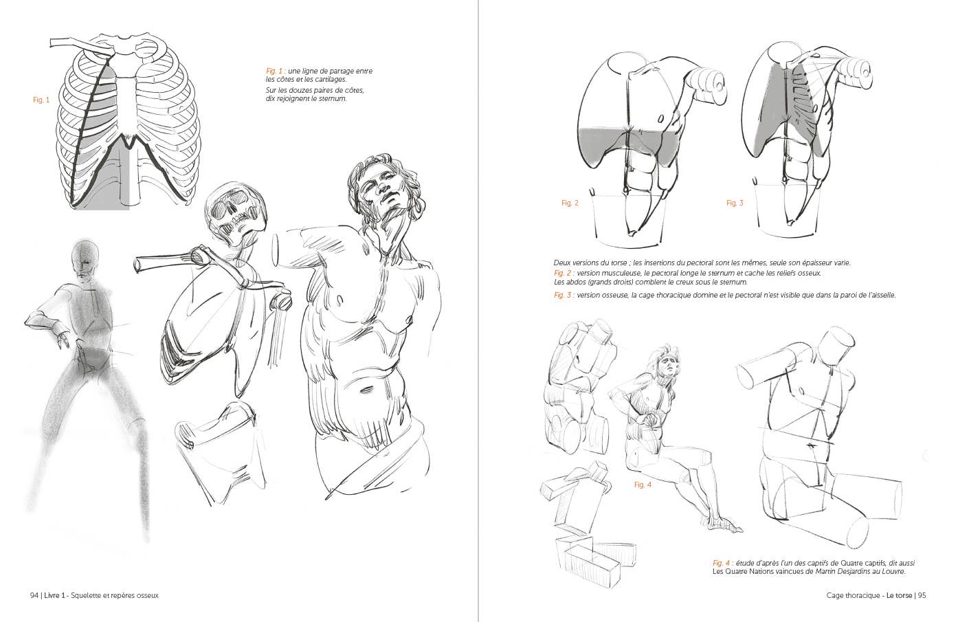 Rocky Nook - Morpho: Anthology of Artistic Anatomy