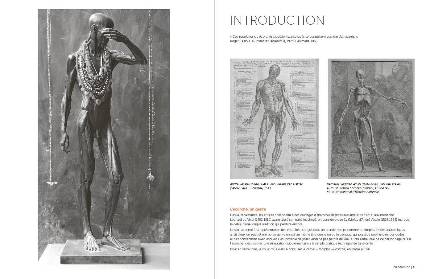 Rocky Nook - Morpho: Anthology of Artistic Anatomy