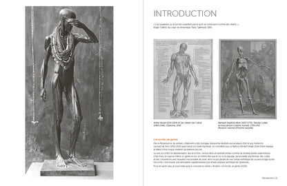 Rocky Nook - Morpho: Anthology of Artistic Anatomy