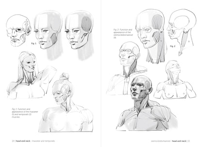 Rocky Nook - Morpho: Muscled Bodies