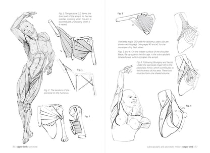 Rocky Nook - Morpho: Muscled Bodies