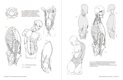 Rocky Nook - Morpho: Anthology of Artistic Anatomy