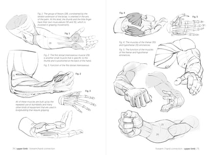 Rocky Nook - Morpho: Muscled Bodies