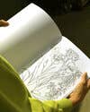 Maria Schoettler - A Garden for All Seasons Coloring Book