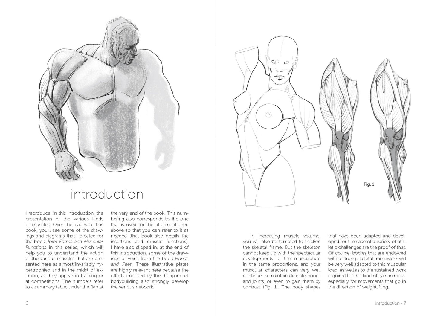Rocky Nook - Morpho: Muscled Bodies