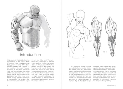 Rocky Nook - Morpho: Muscled Bodies