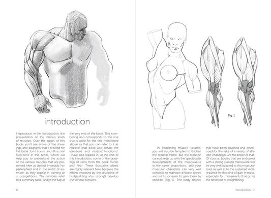 Rocky Nook - Morpho: Muscled Bodies