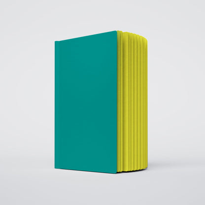 Ugly Books No.1 (5.75" x 4")