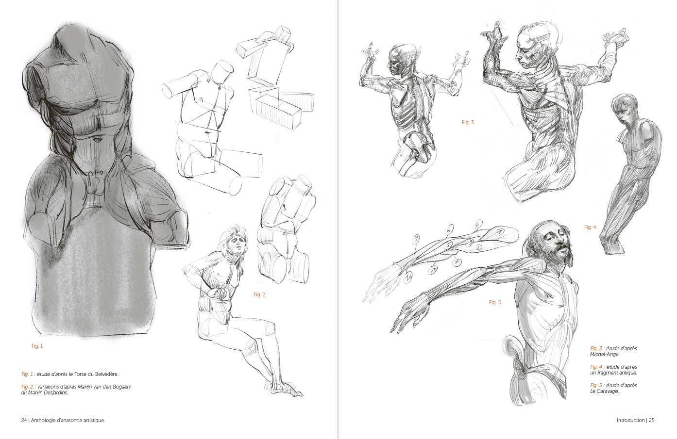 Rocky Nook - Morpho: Anthology of Artistic Anatomy
