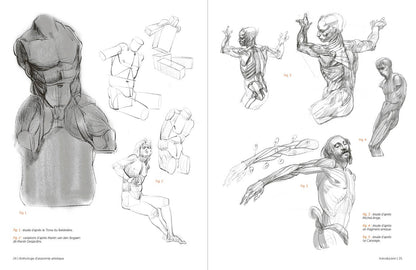Rocky Nook - Morpho: Anthology of Artistic Anatomy