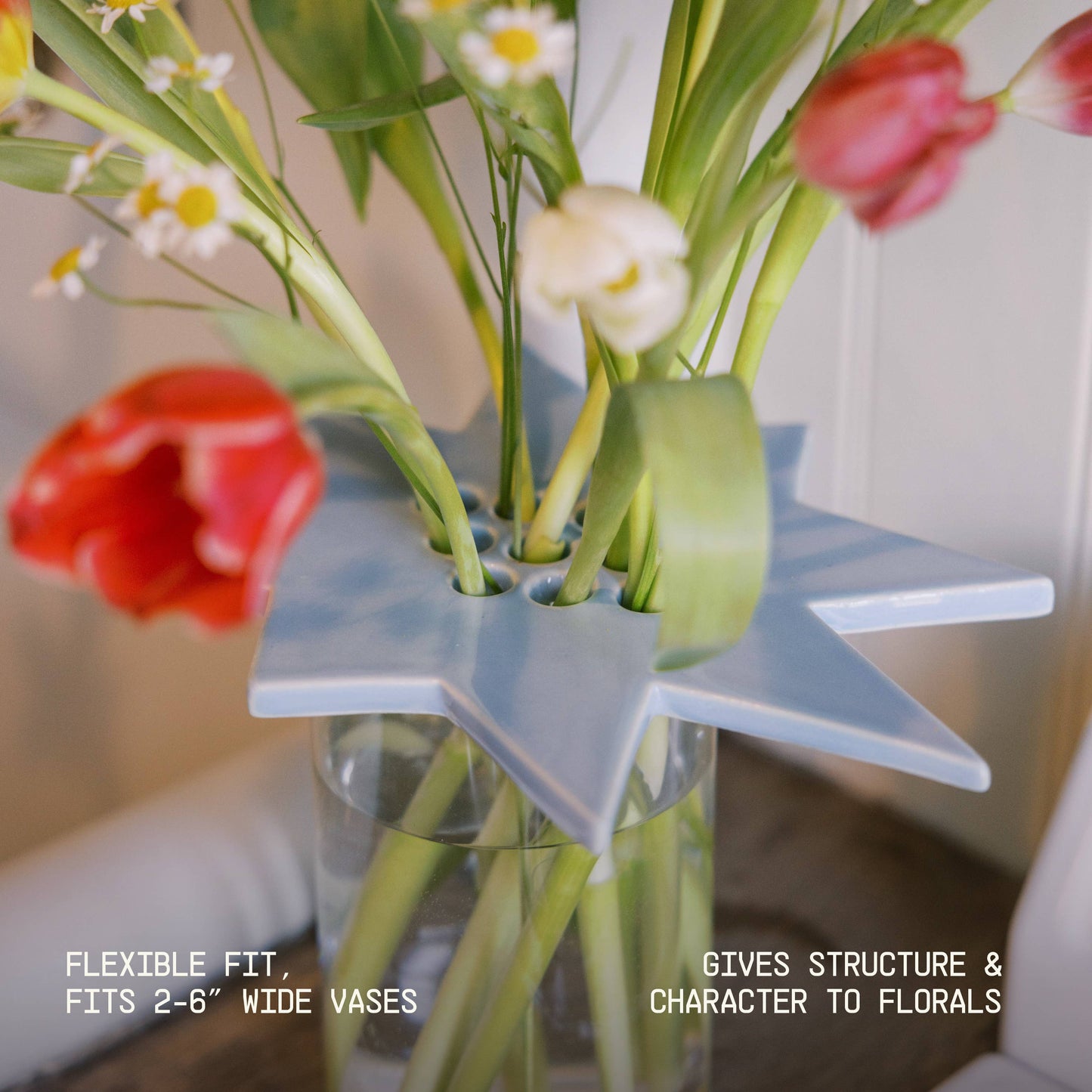 St.Bingo - Star Flower Frog  | Sky Blue