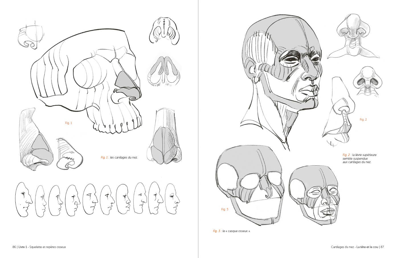 Rocky Nook - Morpho: Anthology of Artistic Anatomy