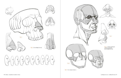 Rocky Nook - Morpho: Anthology of Artistic Anatomy