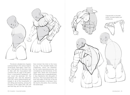 Rocky Nook - Morpho: Muscled Bodies