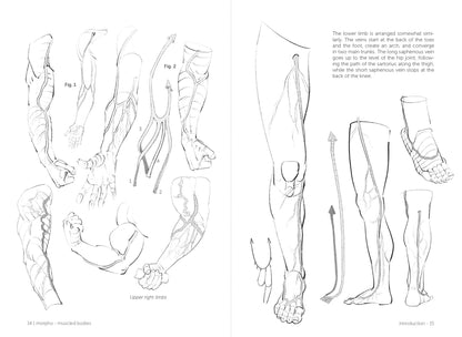 Rocky Nook - Morpho: Muscled Bodies