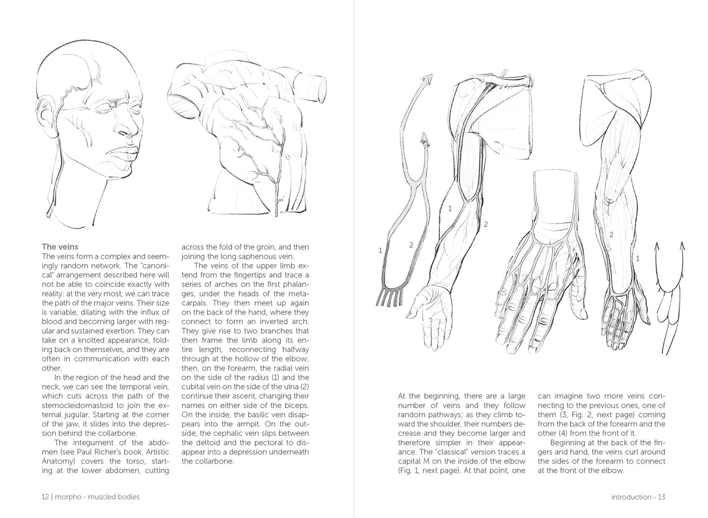 Rocky Nook - Morpho: Muscled Bodies