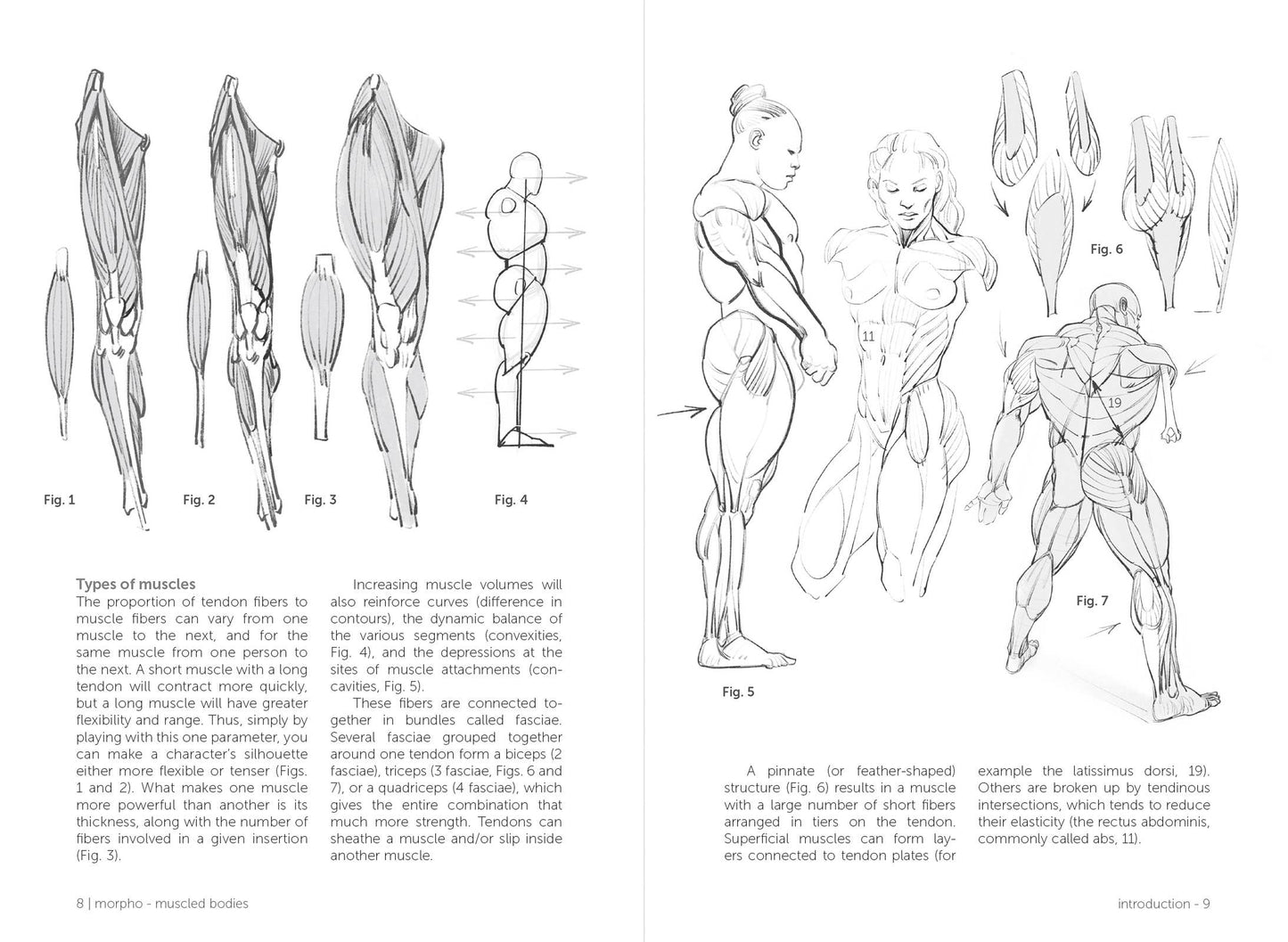 Rocky Nook - Morpho: Muscled Bodies